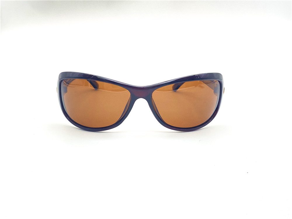  Солнцезащитные очки картинка 2025 Женские Alisi Polarized Классические P2007-C8-32 